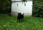 20190831_182544